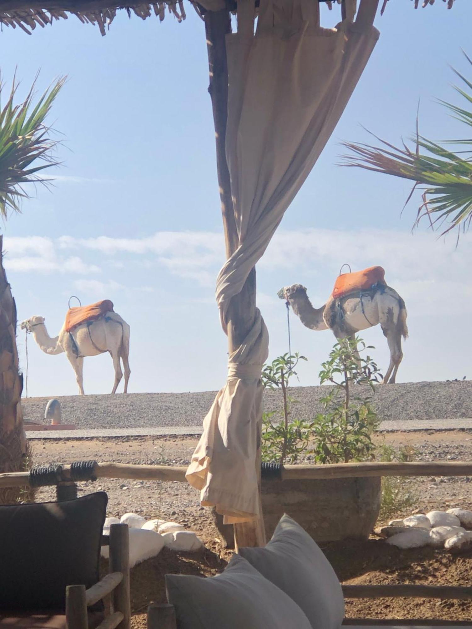 Riad Abbassia Marrakech Premiere Marrakesh Ngoại thất bức ảnh