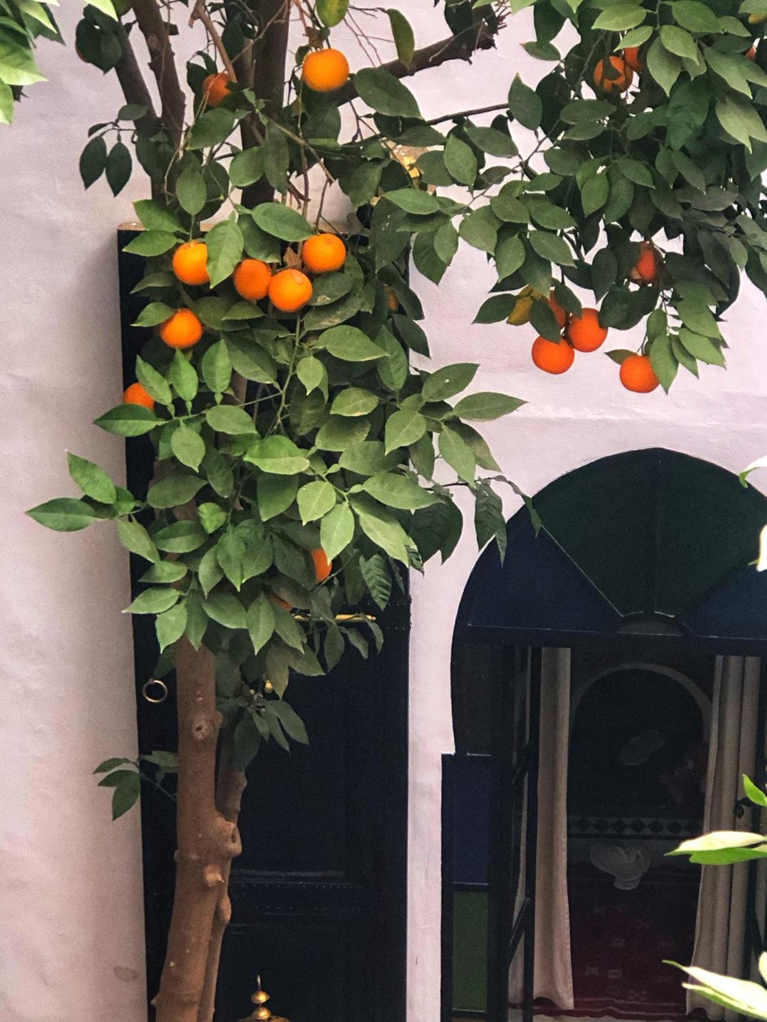Riad Abbassia Marrakech Premiere Marrakesh Ngoại thất bức ảnh