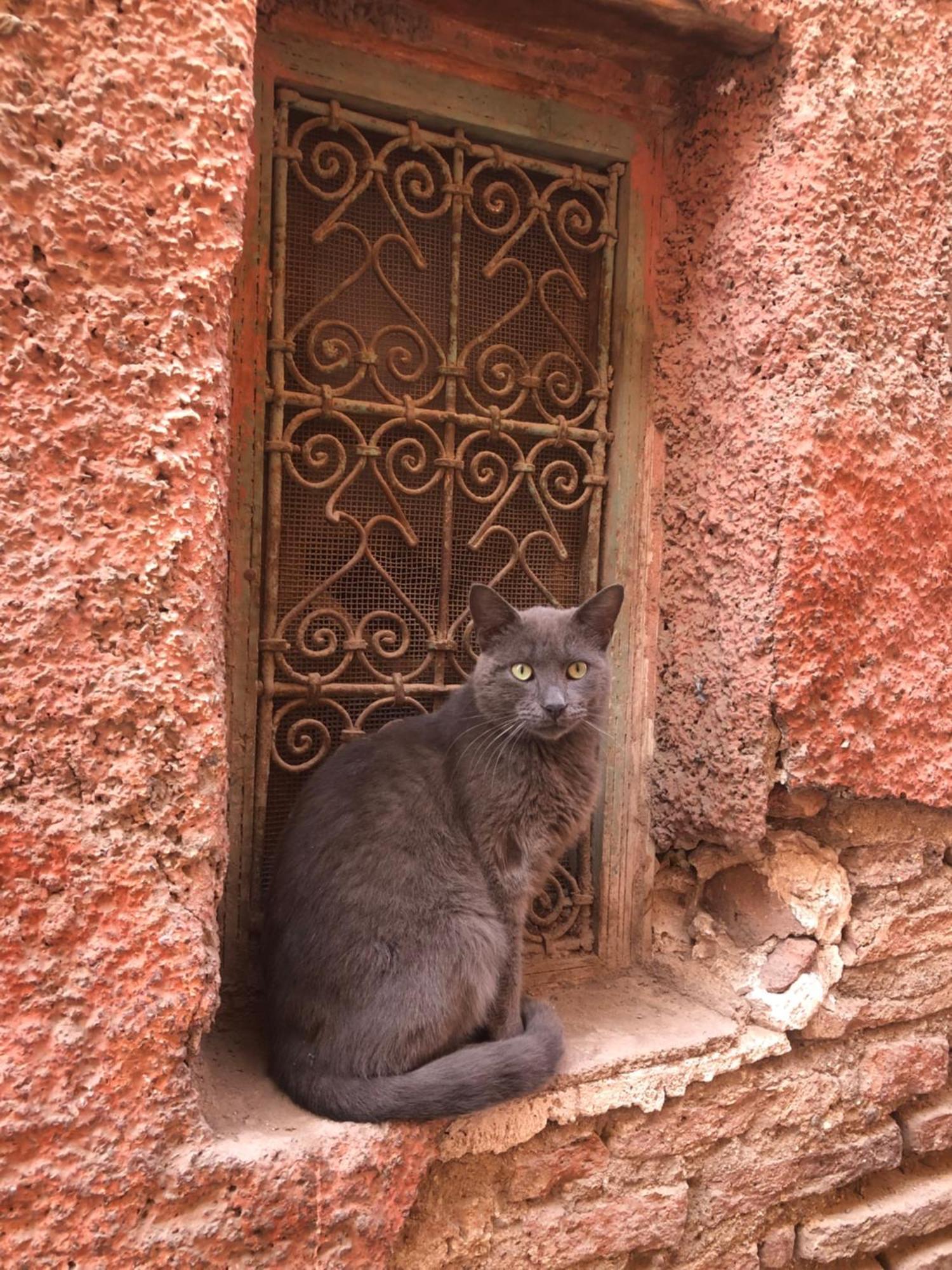Riad Abbassia Marrakech Premiere Marrakesh Ngoại thất bức ảnh