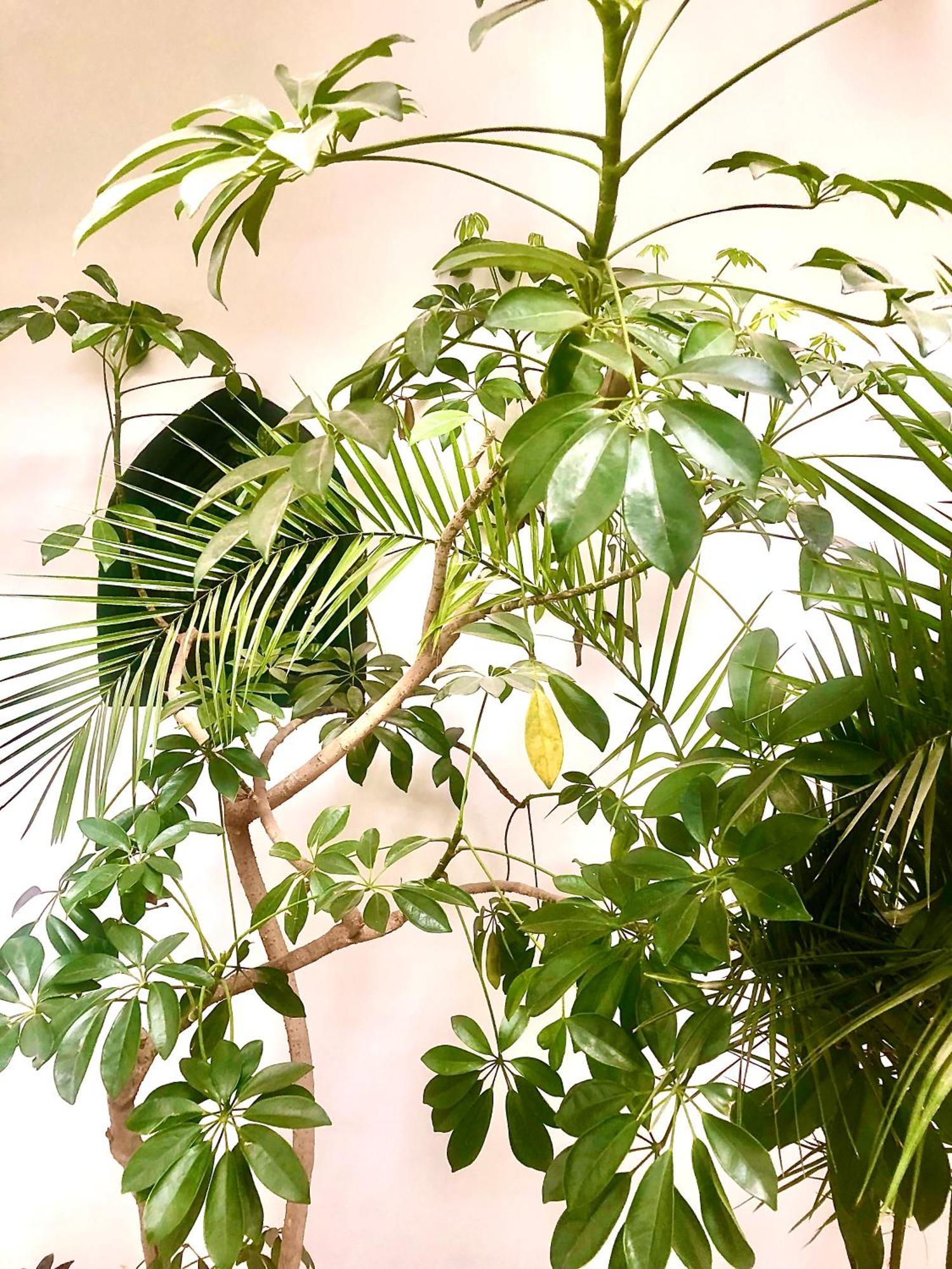 Riad Abbassia Marrakech Premiere Marrakesh Ngoại thất bức ảnh